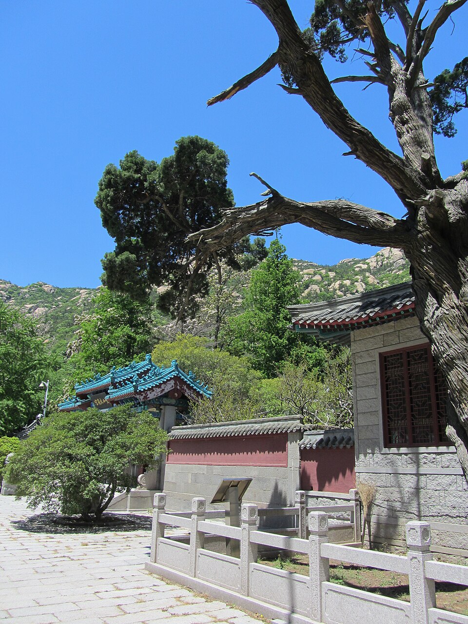 崂山太清宫