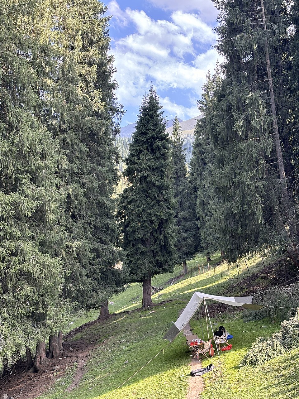天山牧场