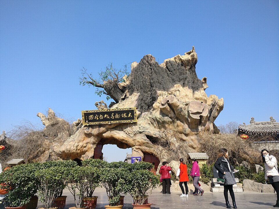 洪洞大槐树 配图2
