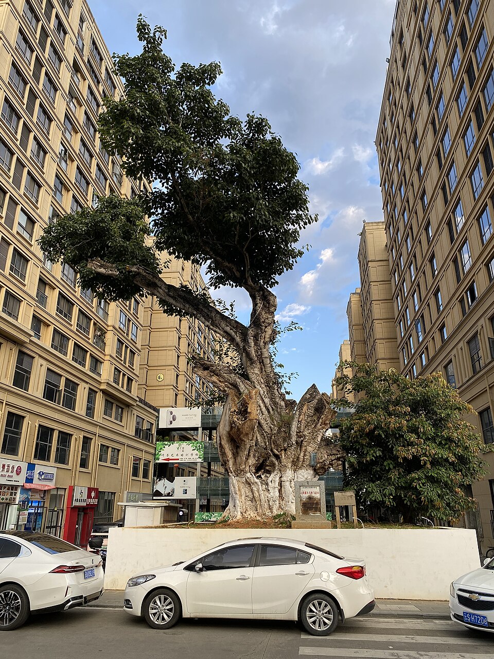 土司遗址