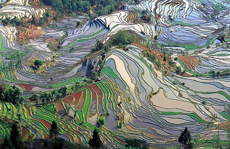 元阳哈尼梯田