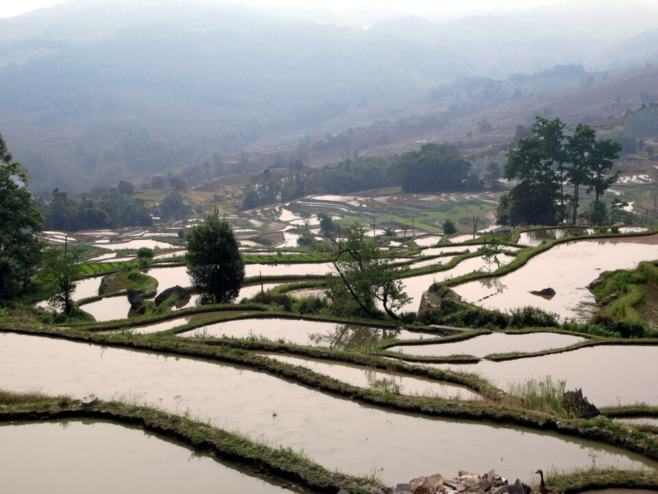 元阳哈尼梯田