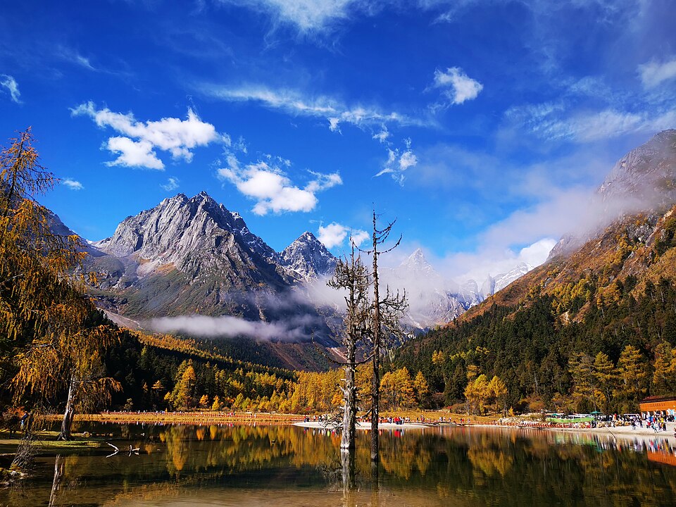 米亚罗