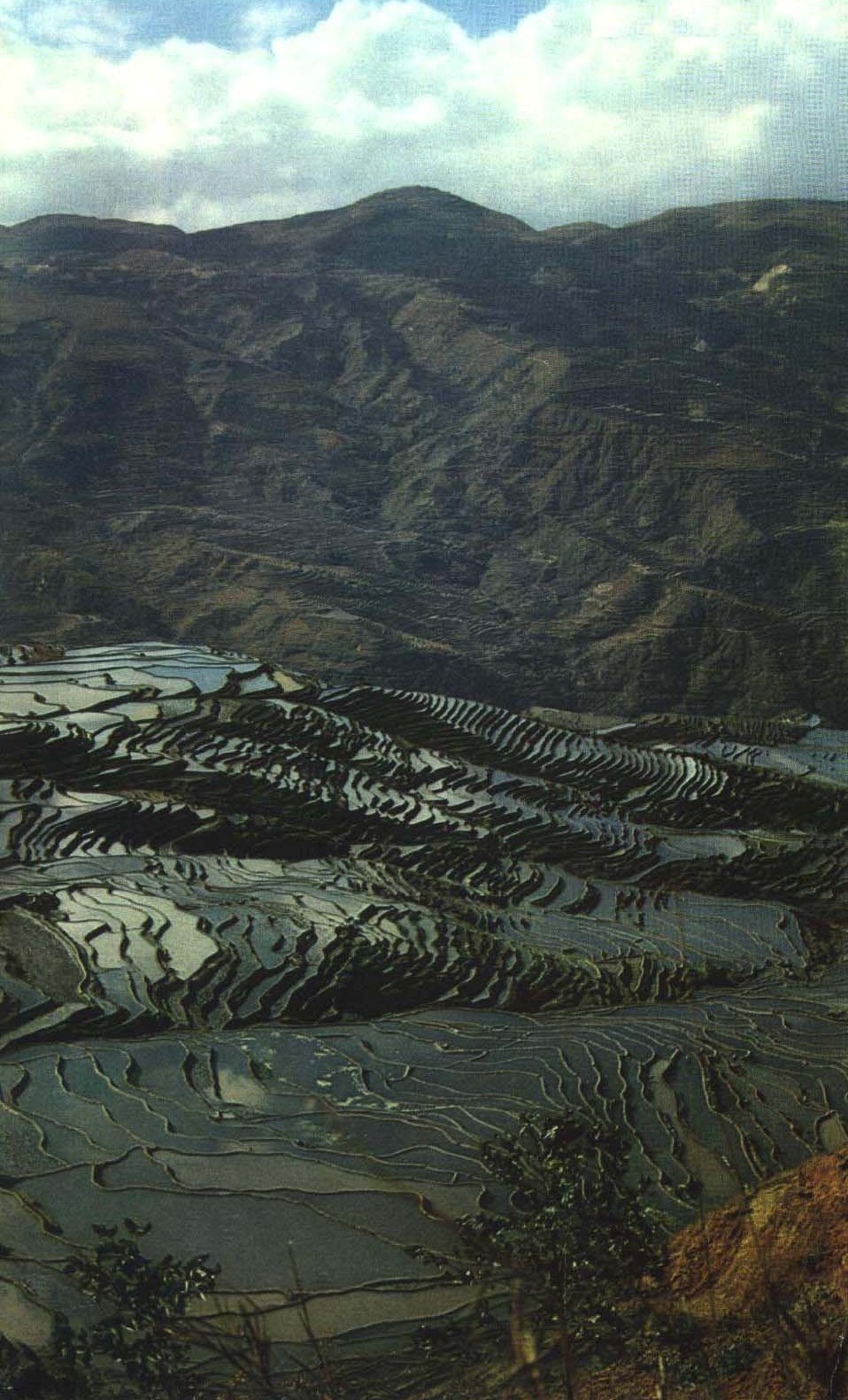 哀牢山