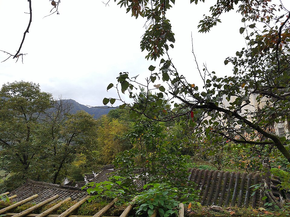 婺源篁岭
