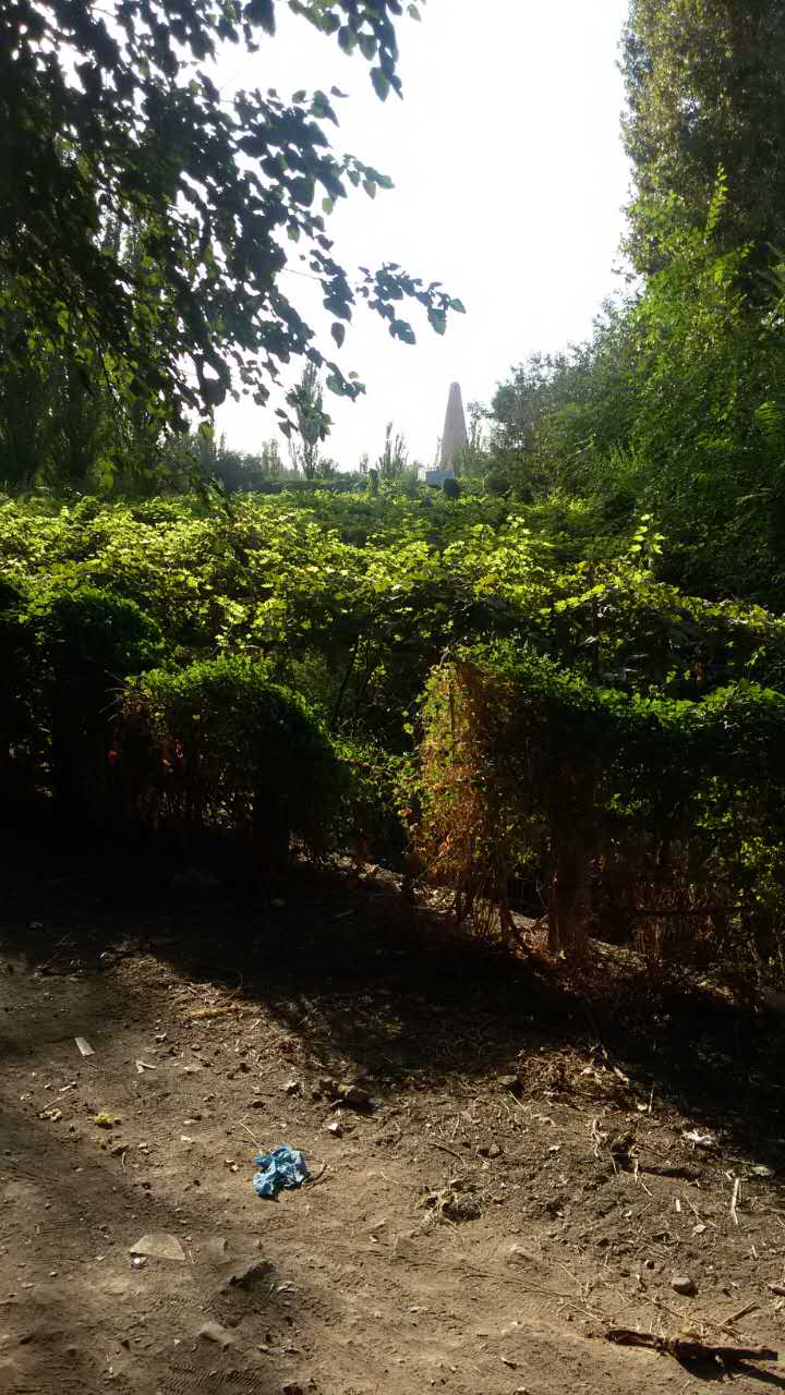吐鲁番葡萄沟