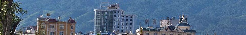 瑞丽姐告口岸