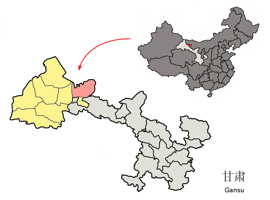 金塔胡杨林